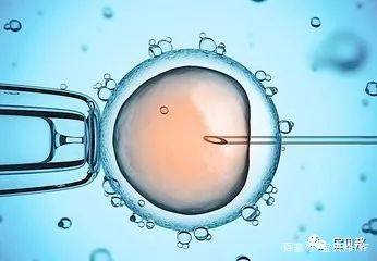 代怀选性别包生男孩生殖医学中心